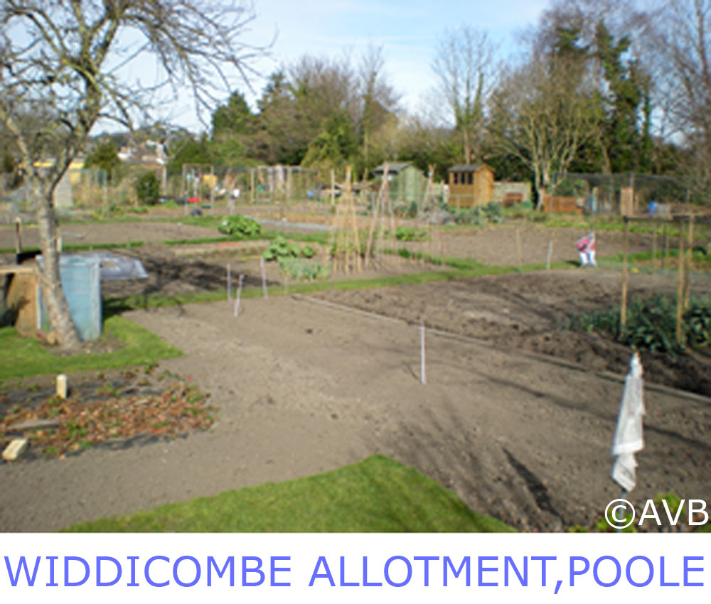 widdicombe