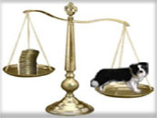 dog scale
