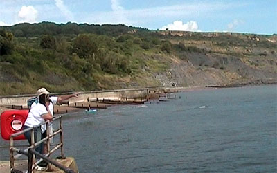 Lyme Regis landslip