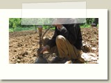 Some farmers have passed their farming methods down through generations and don't understand why this has to change