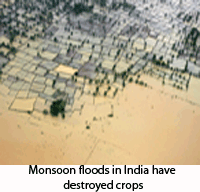 summer monsoon in india