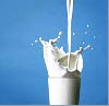 milk protein