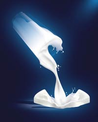 milk