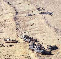 Click to enlarge the Aral Sea image