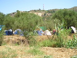 camp