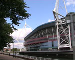 The environmental and economic impacts of sport
