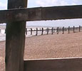 Open beaches