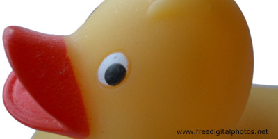 Rubber duck
