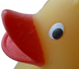 Rubber Duck