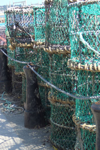 Fishing gear