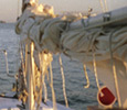 A sailor enters port