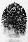 fingerprinting