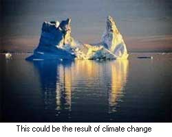 Iceberg