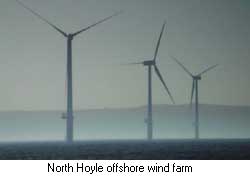 wind farm