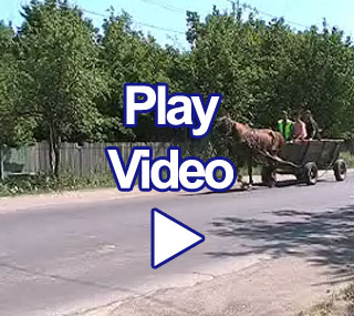 Click here for video