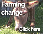 Click here