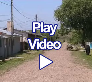 click here for video