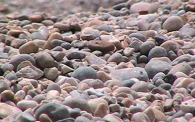 Pebbles on Branscombe beach, hjome of the scaly cricket