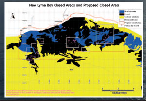 Map of Lyme Bay proposed closed areas, courtesy of Devon Wildlife Trust
