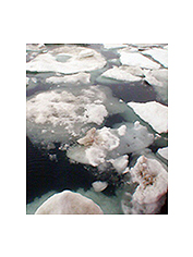 The ice caps are melting