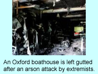 arson
