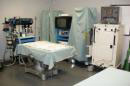 lab